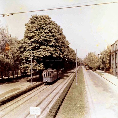 Ulica Socijalističke revolucije (današnja Zvonimirova) 1950-ih godina